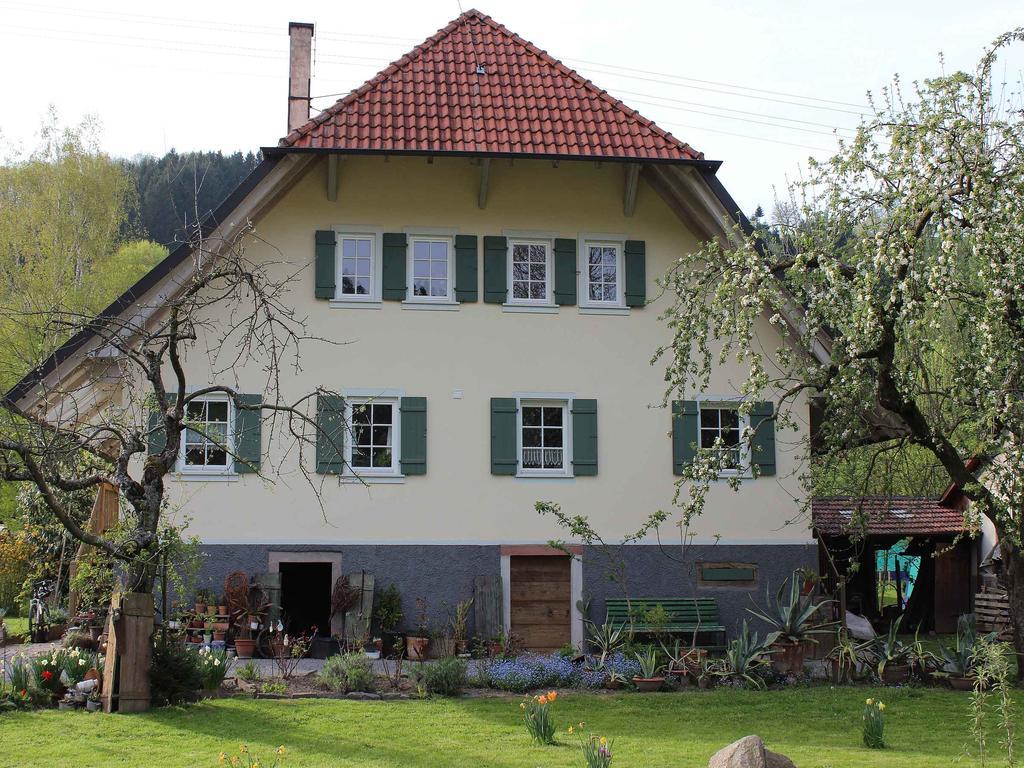 Haus Am Bach Lägenhet Steinach  Exteriör bild